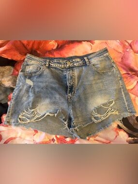 Distressed Light Wash Denim Cutoff Shorts